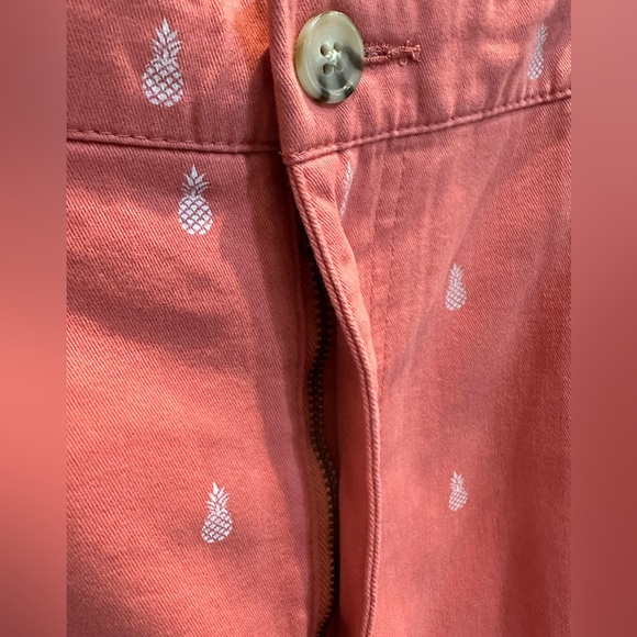 NWT Men’s Boca Classics 100% Brushed Cotton Flat-Front Pineapple Shorts - Picture 4 of 8